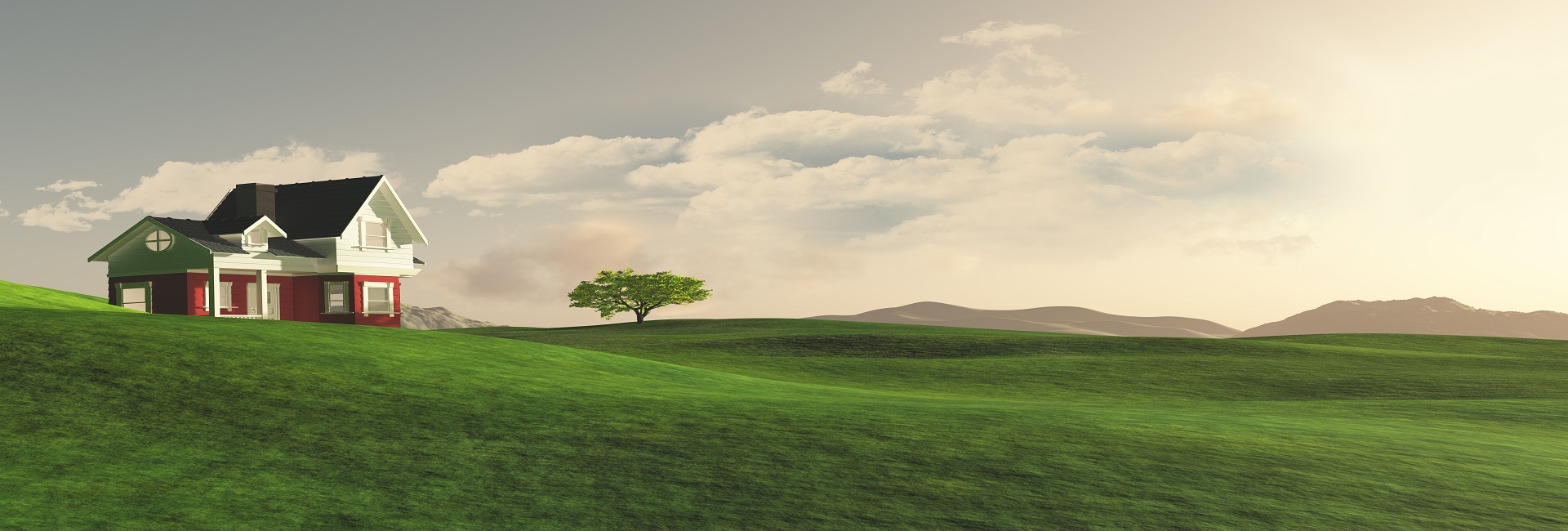 Banner Image
